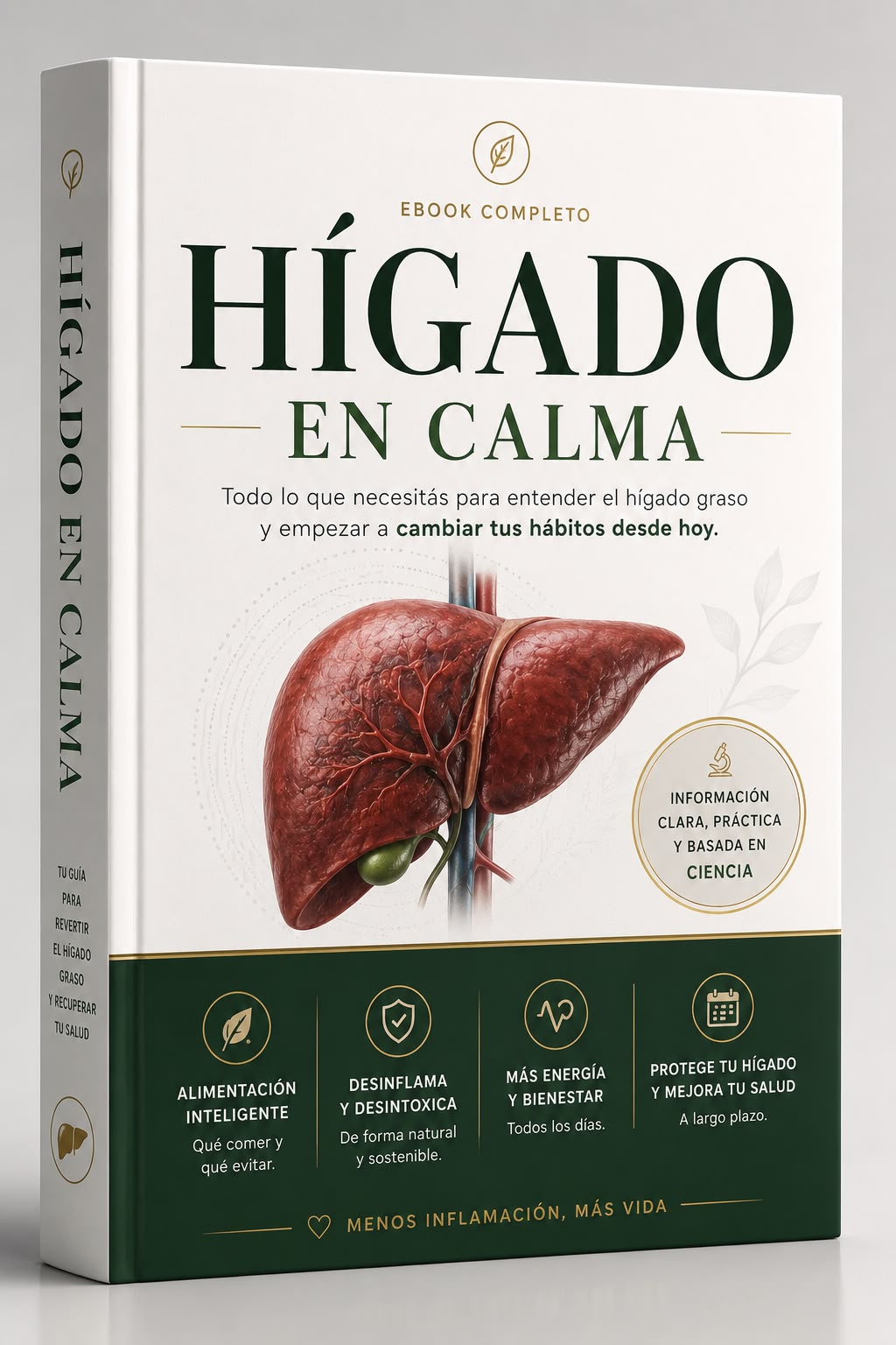 Higado en calma
